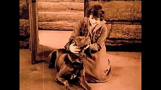 219 hairy porn videos